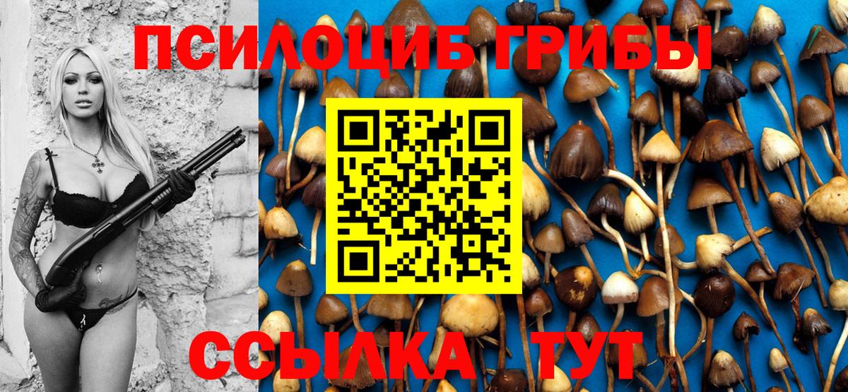 Галлюциногенные грибы MAGIC MUSHROOMS Нижнекамск