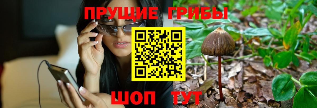Галлюциногенные грибы MAGIC MUSHROOMS  магазин  наркотиков  Вход с VPN  Нижнекамск  Галлюциногенные грибы мицелий 